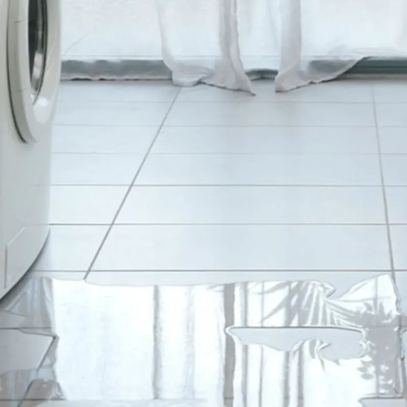 Appliance Leak Cleanup in Sulphur Springs, TX