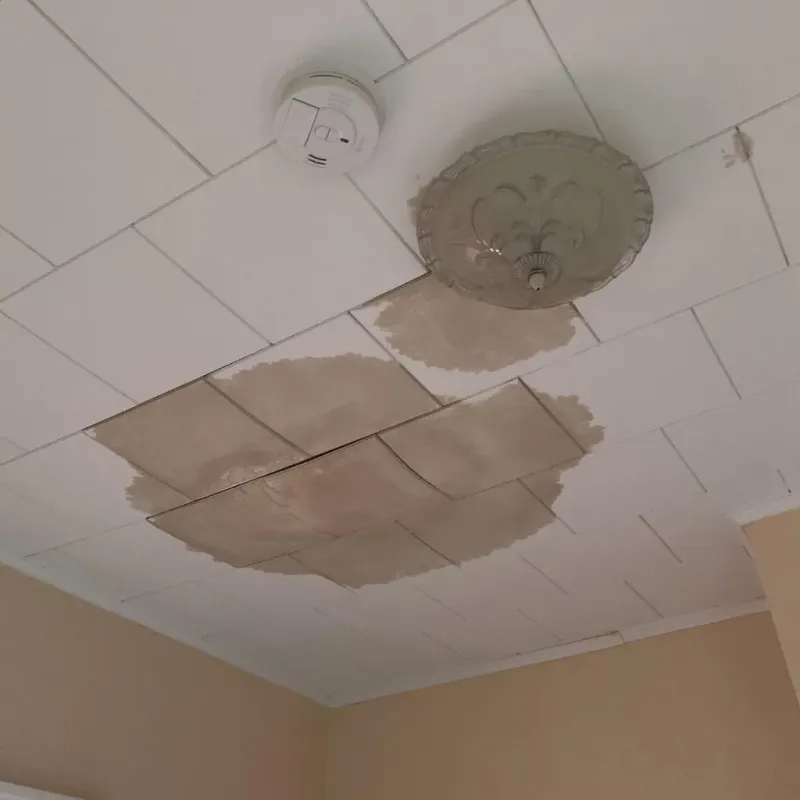 Ceiling Water Damage Repair in Sulphur Springs, TX